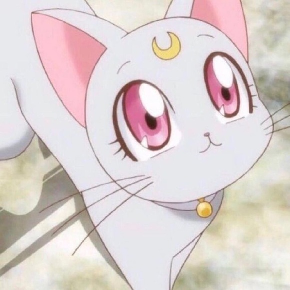 Meet your Posher, Enjuan - Picture 1 of 1